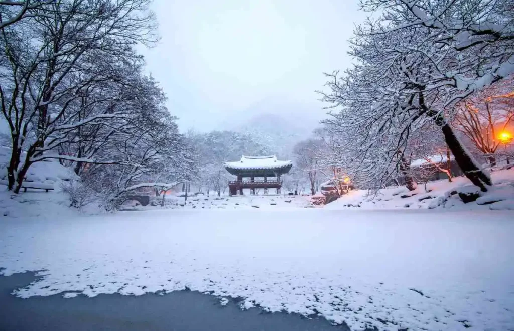 “Traditional Japanese-style building surrounded by snow-covered trees and a frozen lake — serene winter landscape in rural Japan.”