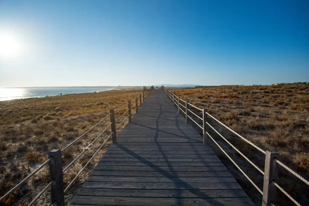 “Scenic boardwalk along Bondi to Coogee coastal walk – top things to do in Sydney for first-time visitors”