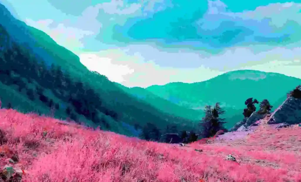 2.Vaporwave_Landscape_Compressed_Under100KB Vaporwave-inspired landscape with pink cherry blossom fields and mountain view, representing cherry blossom Japan 2025 in an artistic style