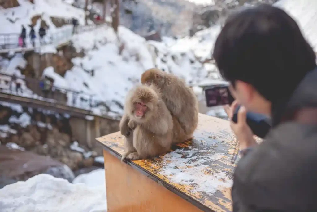 3.compressed_monkeys_photographer Snow monkeys Japan — tourists photographing macaques at Jigokudani Snow Monkey Park in winter
