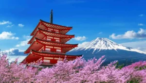 Chureito Pagoda with cherry blossoms in full bloom and Mount Fuji in the background under a clear blue sky in Japan-japan travel
