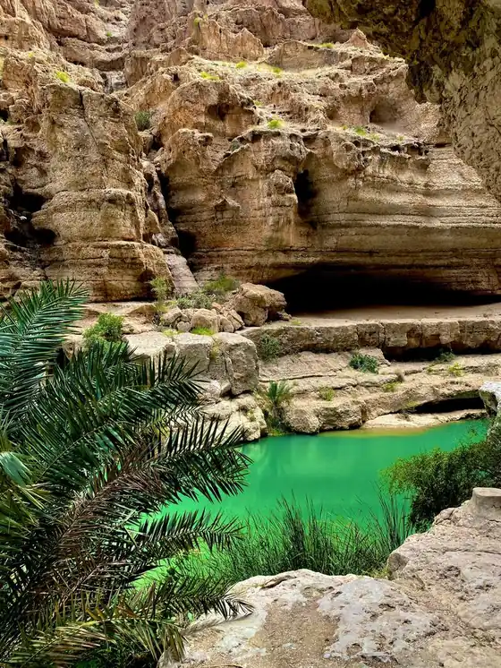 Hidden turquoise pool surrounded by rugged desert cliffs and lush palms in Wadi Shab, Oman – a stunning natural wonder perfect for Oman travel adventures.
